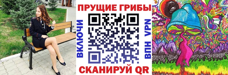 Галлюциногенные грибы Psilocybine cubensis  Купить где  Нальчик 